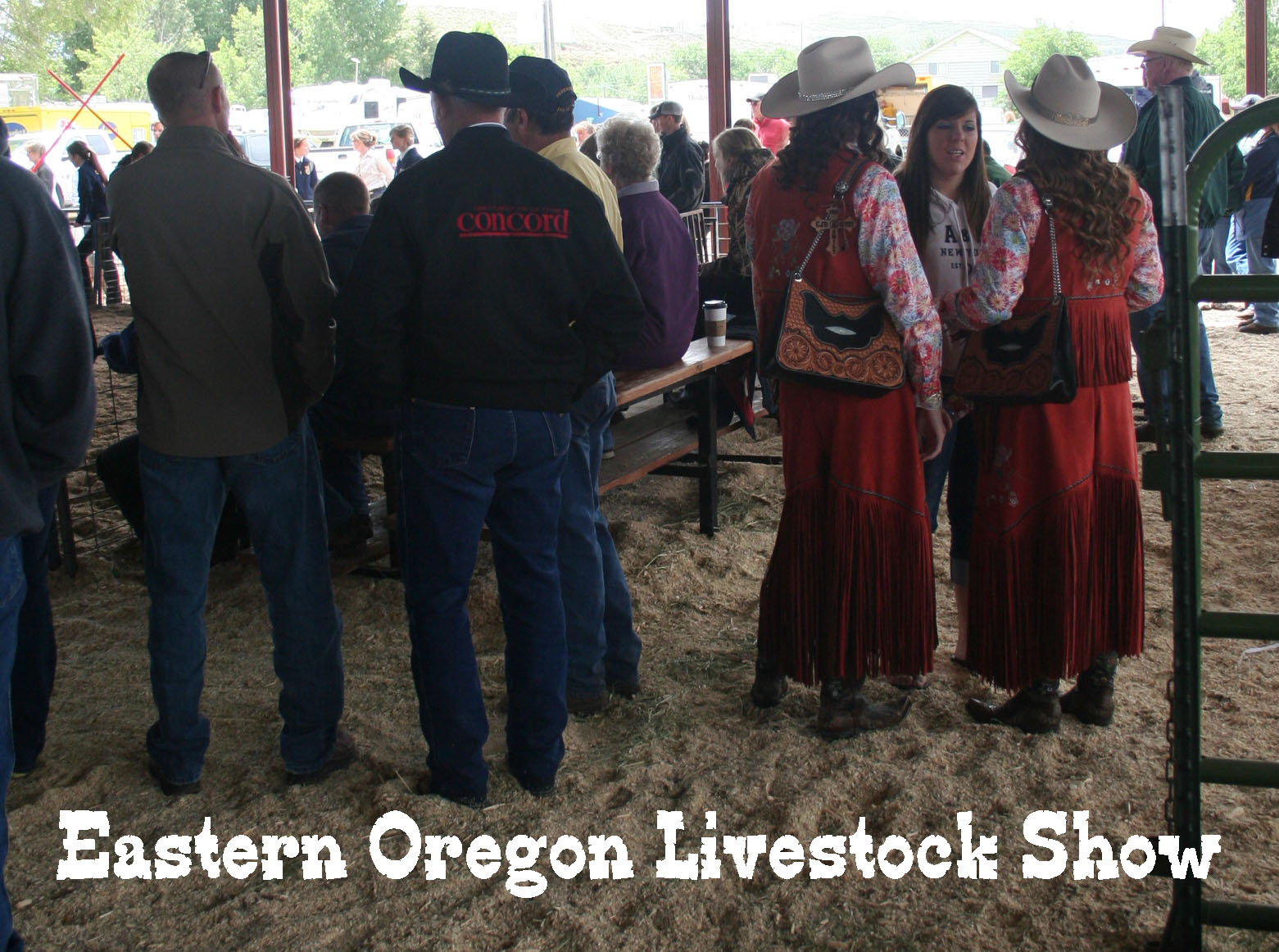 oregon livestock auction