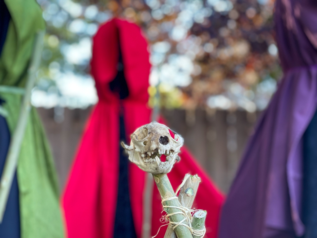 DIY Life-Size 'Hocus Pocus' Witches Halloween Decoration