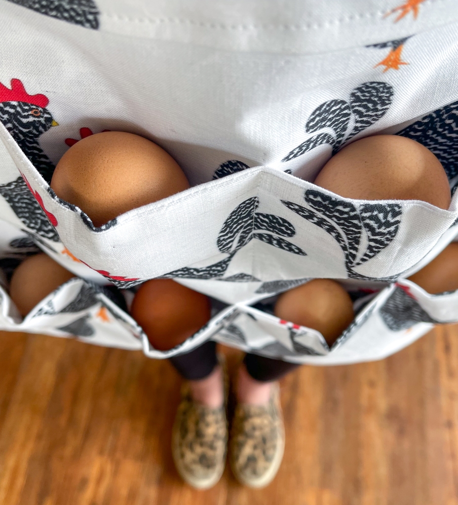 close up overhead view of farm fresh eggs in the pockets of an egg collecting apron