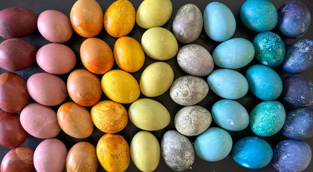 Colorful naturally dyed Easter eggs